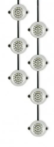 22M LED Festoon Hanging Light Chain 240V