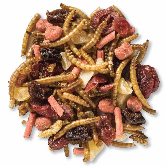 Duncraft Berry Delight Trail Mix Wild Bird Food