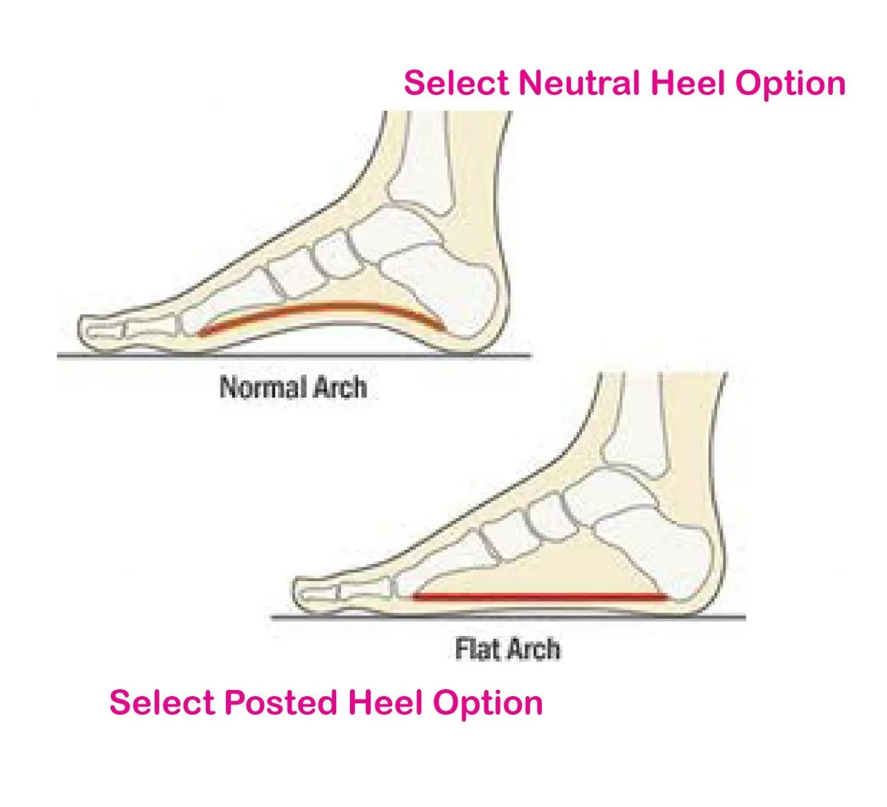 Genext Orthotic Active (POS)