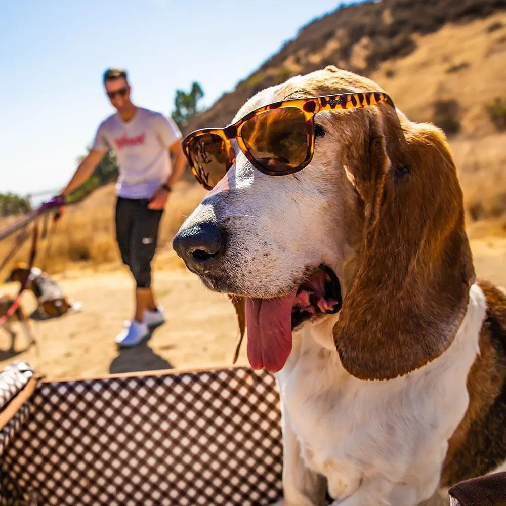 Goodr "Bosley's Basset Hound Dreams" Polarized Sunglasses