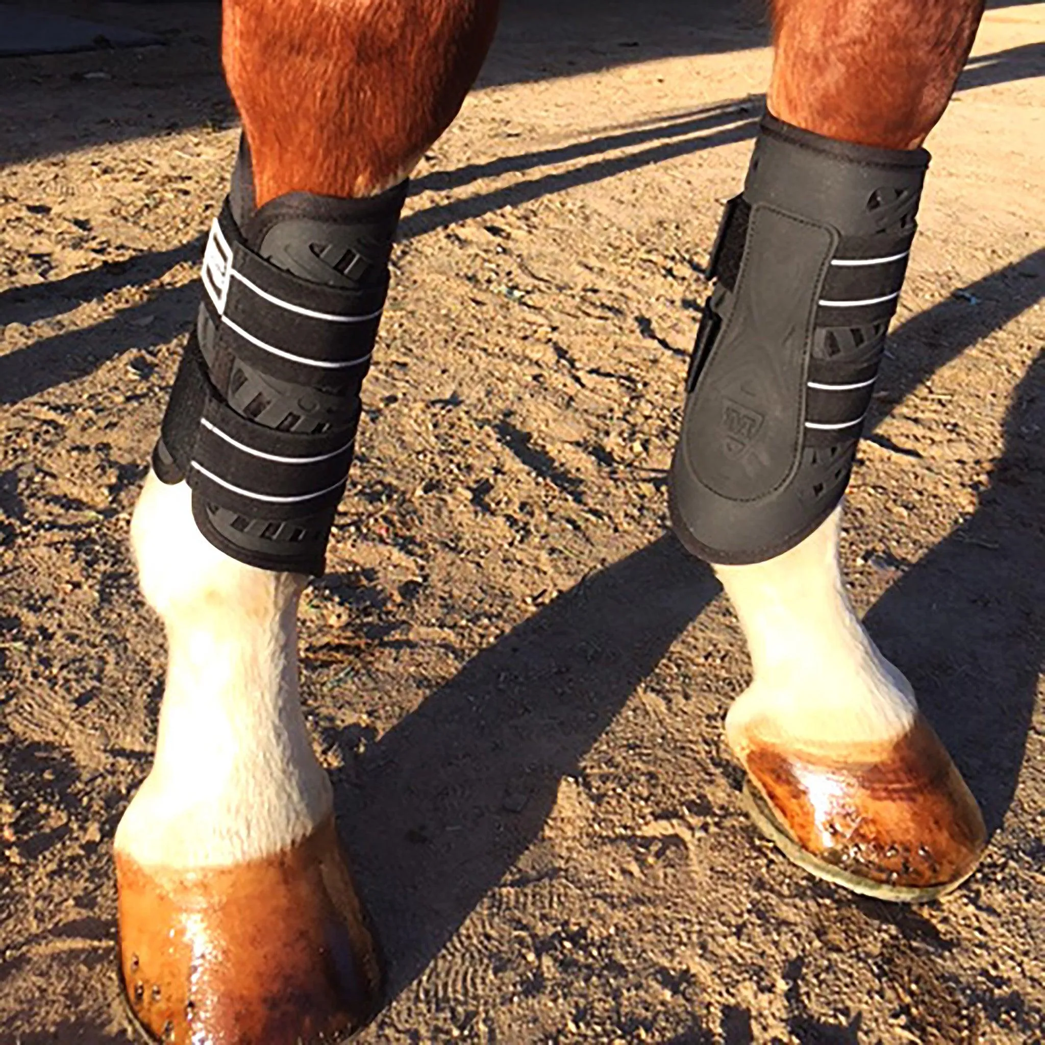 Sport Boot (Dressage)