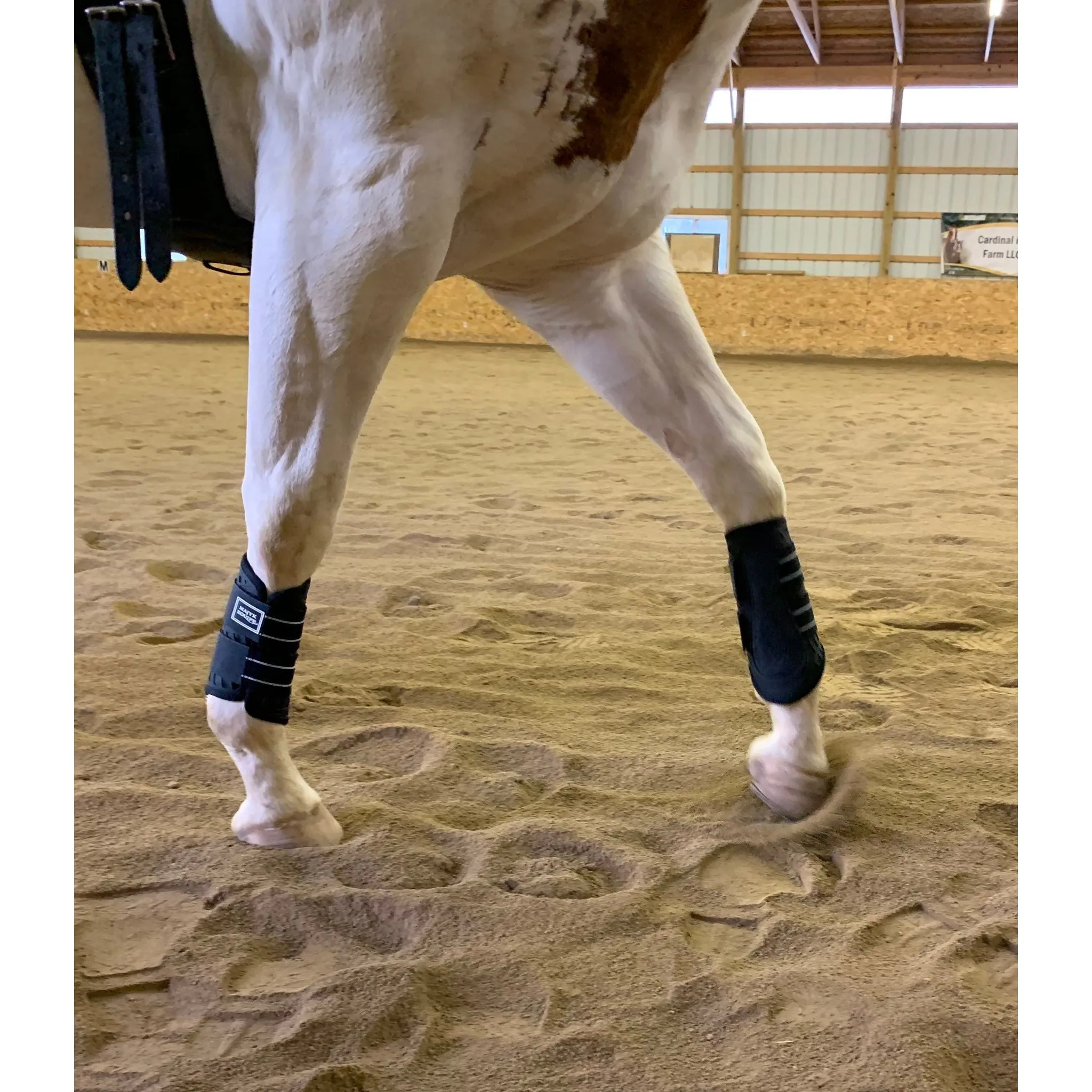 Sport Boot (Dressage)